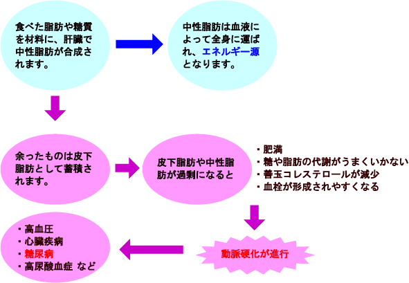 中性脂肪の減らし方 レシピ